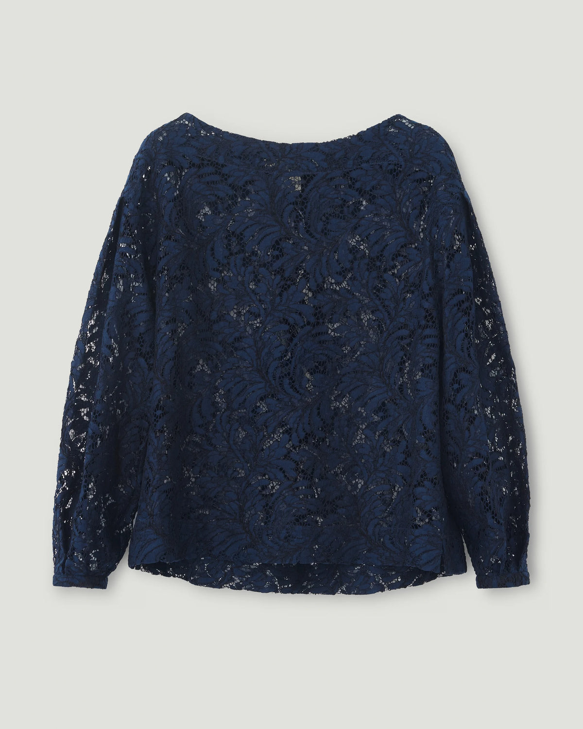#colour_Midnight Blue
